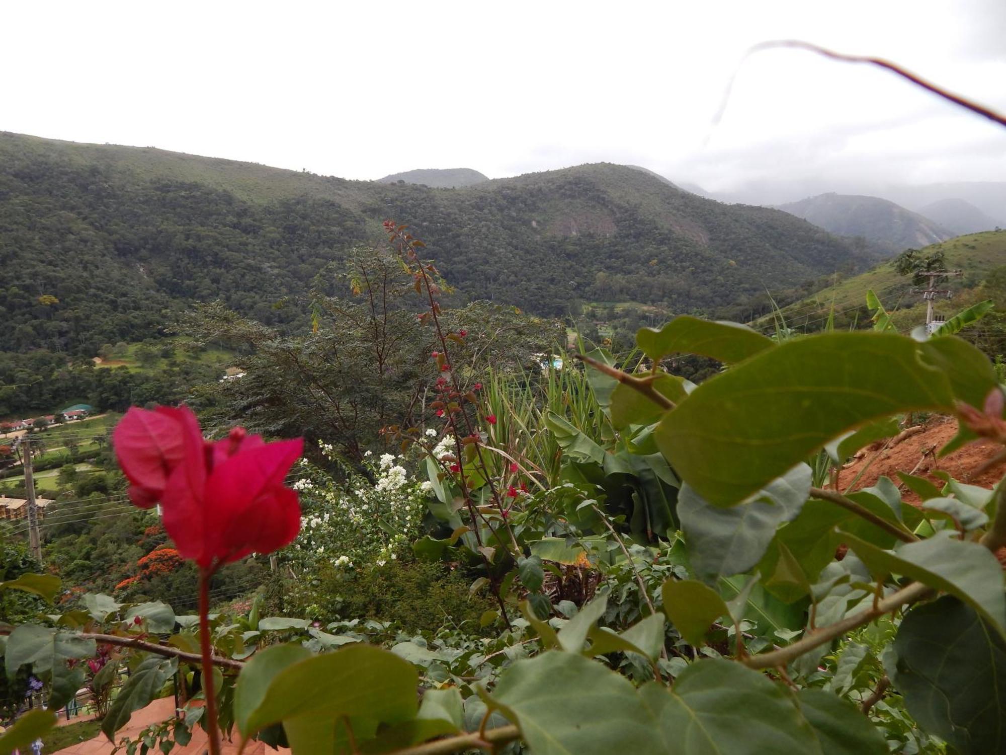Pousada Quinta Do Alto Itaipava Oda fotoğraf